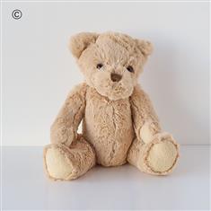 Benjamin Bear